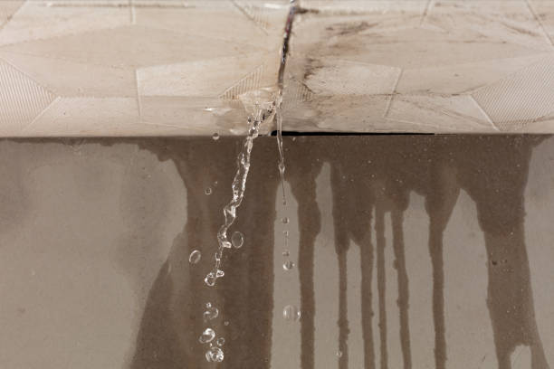 Professional Burst Pipe Cleanup technician working in Nooksack, WA